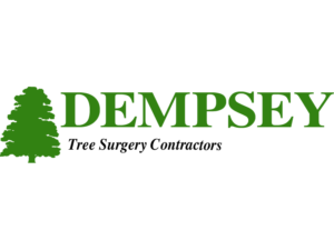 logo-clients_0007_DEMPSEY