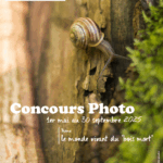 Concours photo du CEN