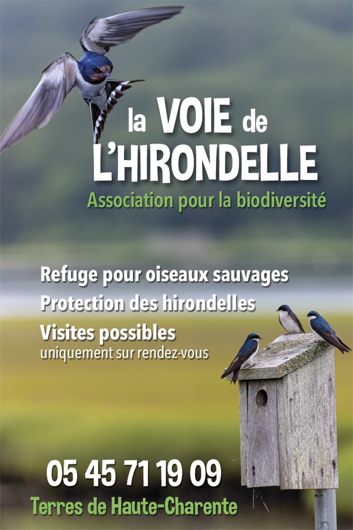 EC_318__0012_voie-hirondelles---318---1-12